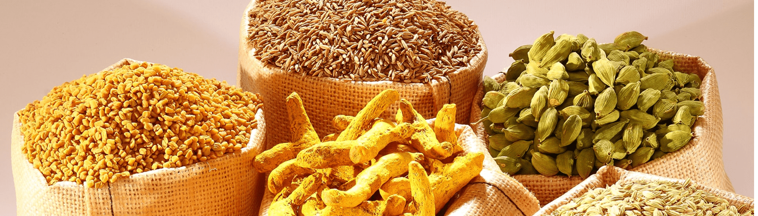 turmeric exporter india  bulk turmeric supplier  curcumin turmeric export, Indian Spices