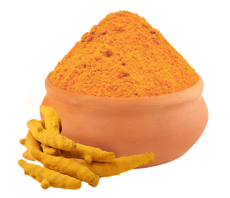 turmeric exporter india bulk turmeric supplier curcumin turmeric export, Indian Spices