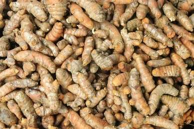 Indian Spices, Turmeric whole