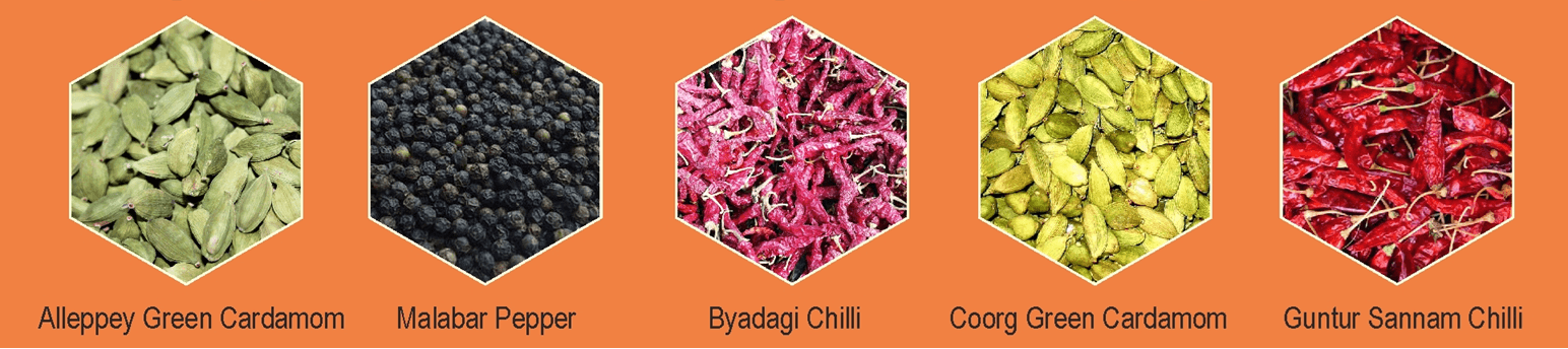 Spice Exporter India, Indian Spices Exporter, Bulk Spices Supplier India, Wholesale Spice Supplier India, Spices Manufacturer & Exporter India, Indian Spice Supplier for Export, Export Quality Spices India