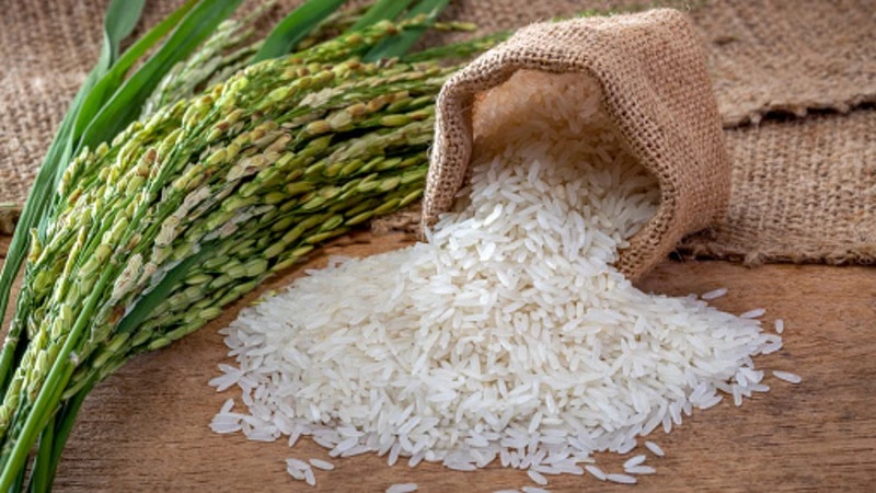 Indian Basmati Rice