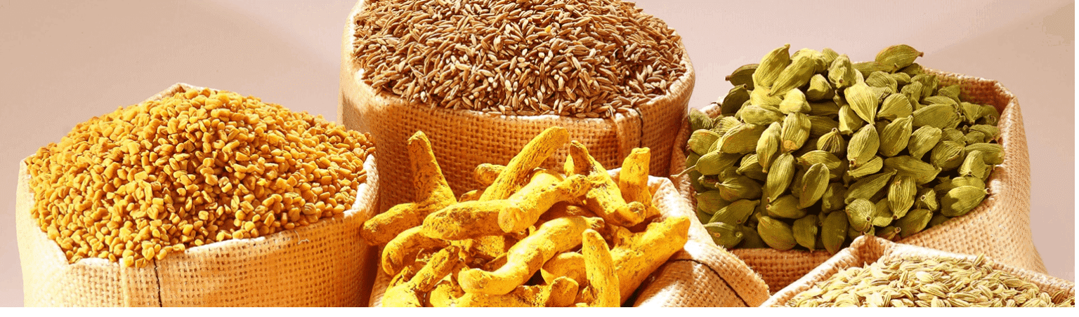 Spice Exporter India, Indian Spices Exporter, Bulk Spices Supplier India, Wholesale Spice Supplier India, Spices Manufacturer & Exporter India, Indian Spice Supplier for Export, Export Quality Spices India