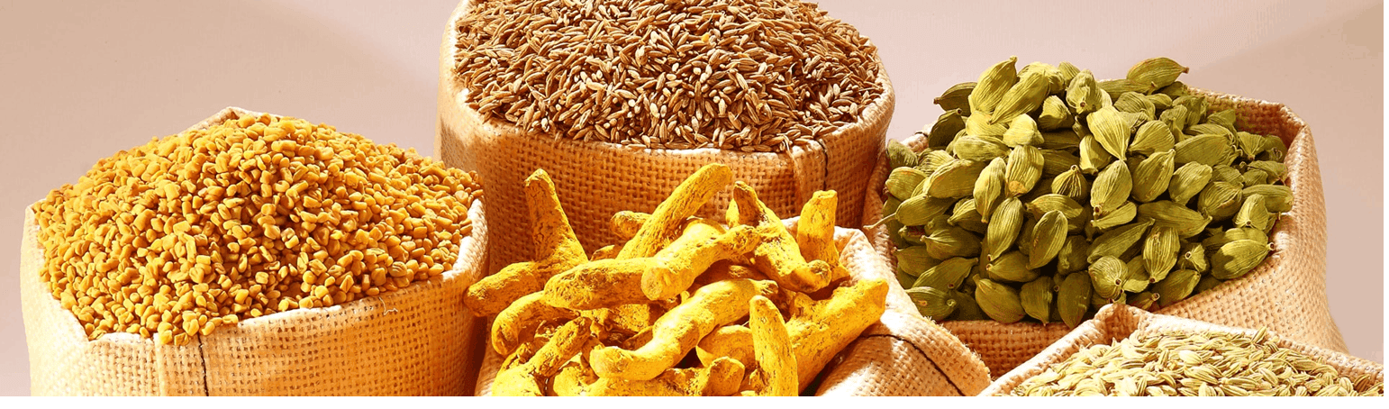 Spice Exporter India, Indian Spices Exporter, Bulk Spices Supplier India, Wholesale Spice Supplier India, Spices Manufacturer & Exporter India, Indian Spice Supplier for Export, Export Quality Spices India