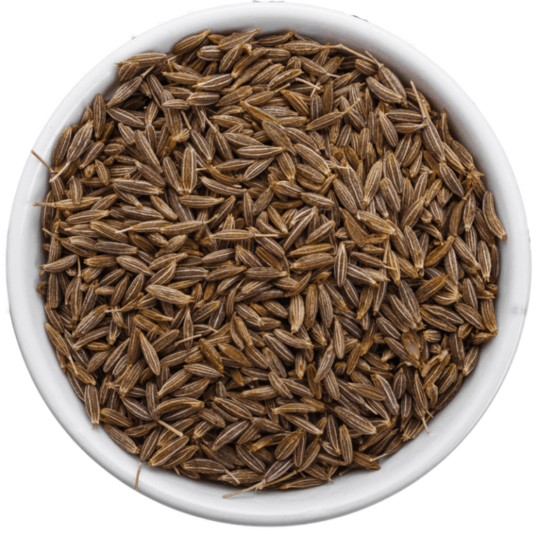 spices export from India, Indian spices global demand, most exported spices from India, spice export business India, Indian spices for international market, benefits of Indian spices