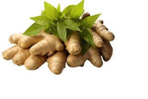 spices export from India, Indian spices global demand, most exported spices from India, spice export business India, Indian spices for international market, benefits of Indian spices