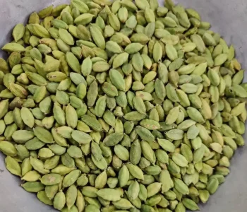 Indian Spices exporter