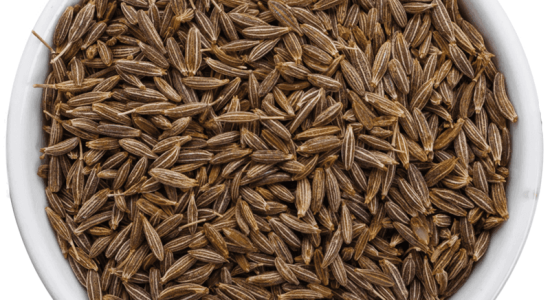 spices export from India, Indian spices global demand, most exported spices from India, spice export business India, Indian spices for international market, benefits of Indian spices