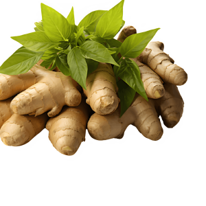 spices export from India, Indian spices global demand, most exported spices from India, spice export business India, Indian spices for international market, benefits of Indian spices