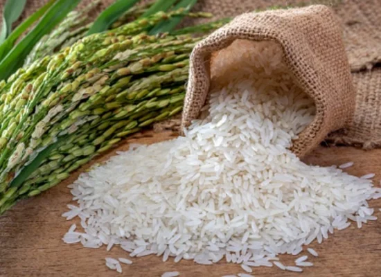 Indian Basmati Rice