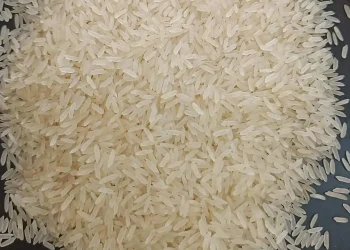 Basmati Rice, Indian Rice