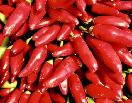 spices export from India, Indian spices global demand, most exported spices from India, spice export business India, Indian spices for international market, benefits of Indian spices