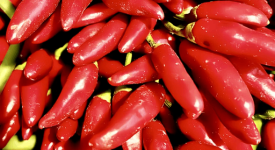 spices export from India, Indian spices global demand, most exported spices from India, spice export business India, Indian spices for international market, benefits of Indian spices