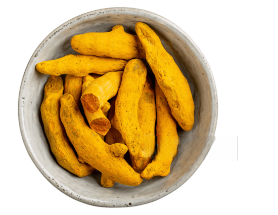 spices export from India, Indian spices global demand, most exported spices from India, spice export business India, Indian spices for international market, benefits of Indian spices spices export from India, Indian spices global demand, most exported spices from India, spice export business India, Indian spices for international market, benefits of Indian spices