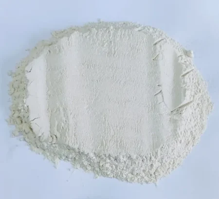 White Onion Powder